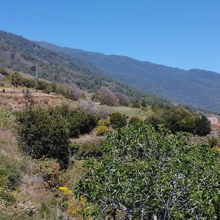 Estudio Los Cipreses Breña Alta